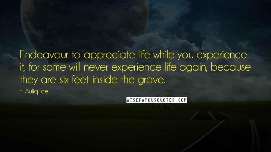 Auliq Ice Quotes: Endeavour to appreciate life while you experience it, for some will never experience life again, because they are six feet inside the grave.