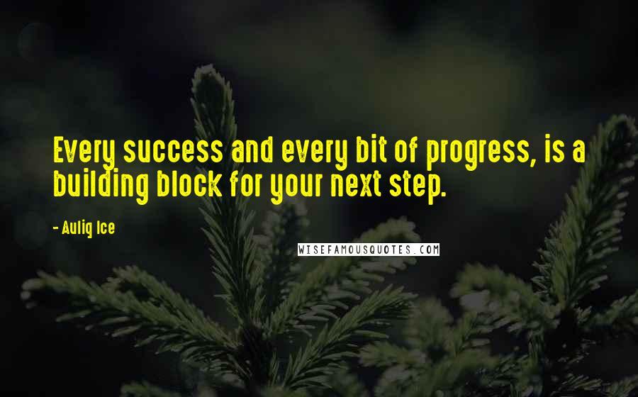 Auliq Ice Quotes: Every success and every bit of progress, is a building block for your next step.