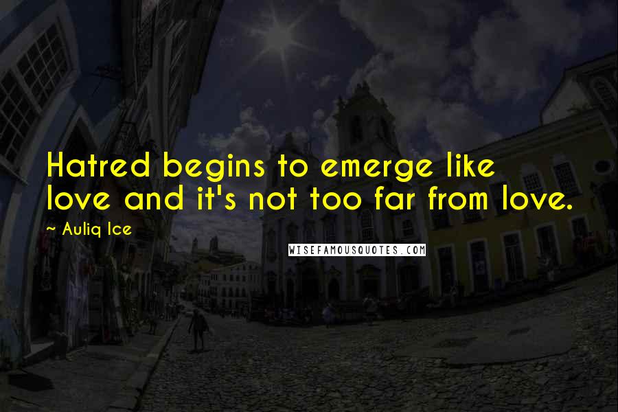 Auliq Ice Quotes: Hatred begins to emerge like love and it's not too far from love.