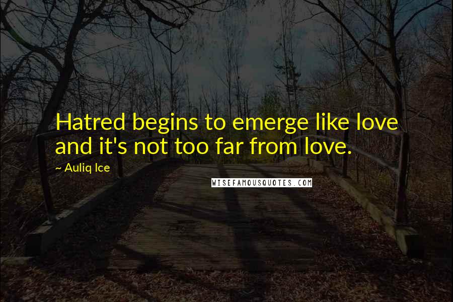 Auliq Ice Quotes: Hatred begins to emerge like love and it's not too far from love.
