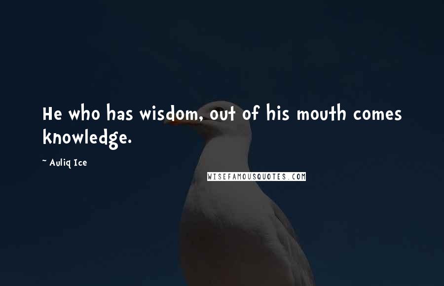 Auliq Ice Quotes: He who has wisdom, out of his mouth comes knowledge.