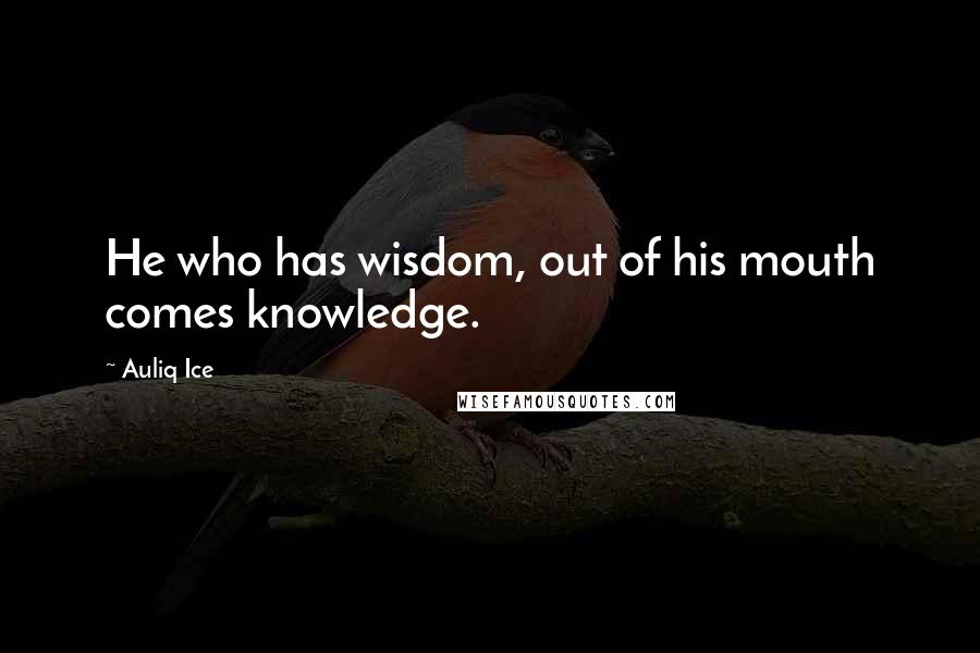 Auliq Ice Quotes: He who has wisdom, out of his mouth comes knowledge.