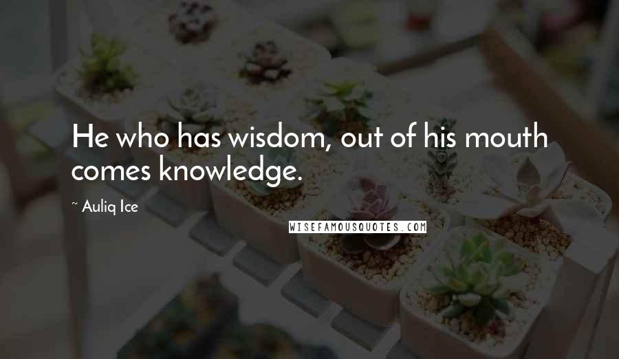 Auliq Ice Quotes: He who has wisdom, out of his mouth comes knowledge.