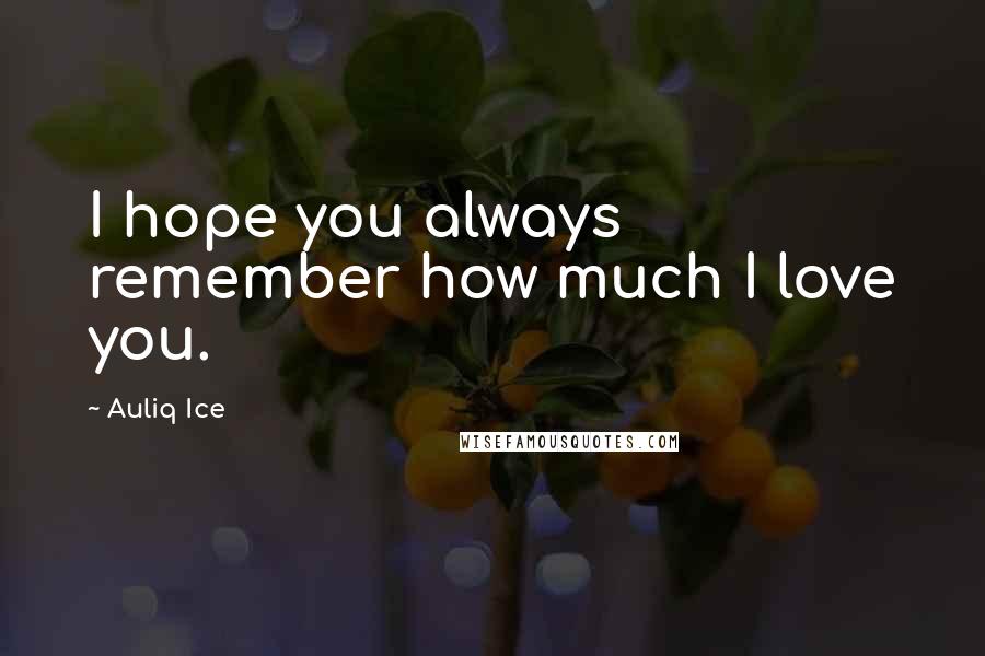 Auliq Ice Quotes: I hope you always remember how much I love you.