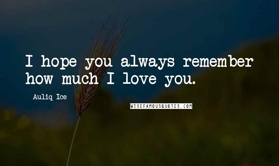 Auliq Ice Quotes: I hope you always remember how much I love you.