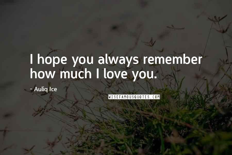 Auliq Ice Quotes: I hope you always remember how much I love you.