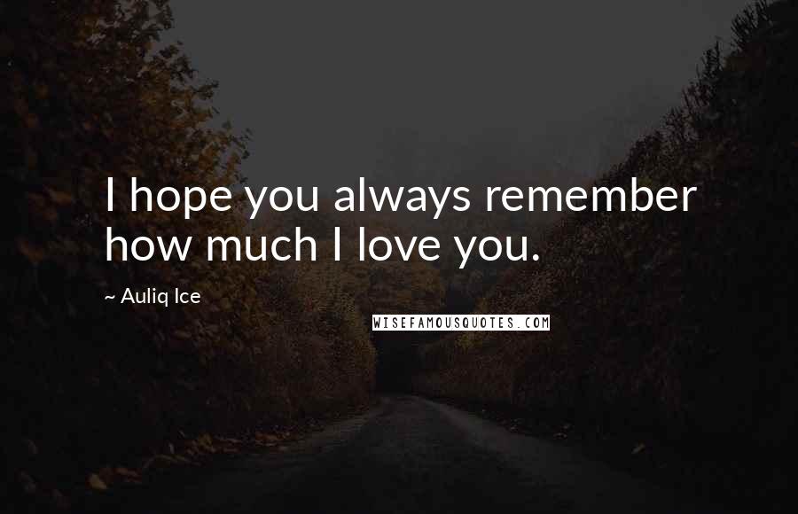 Auliq Ice Quotes: I hope you always remember how much I love you.