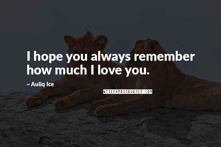 Auliq Ice Quotes: I hope you always remember how much I love you.