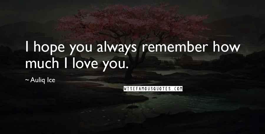 Auliq Ice Quotes: I hope you always remember how much I love you.