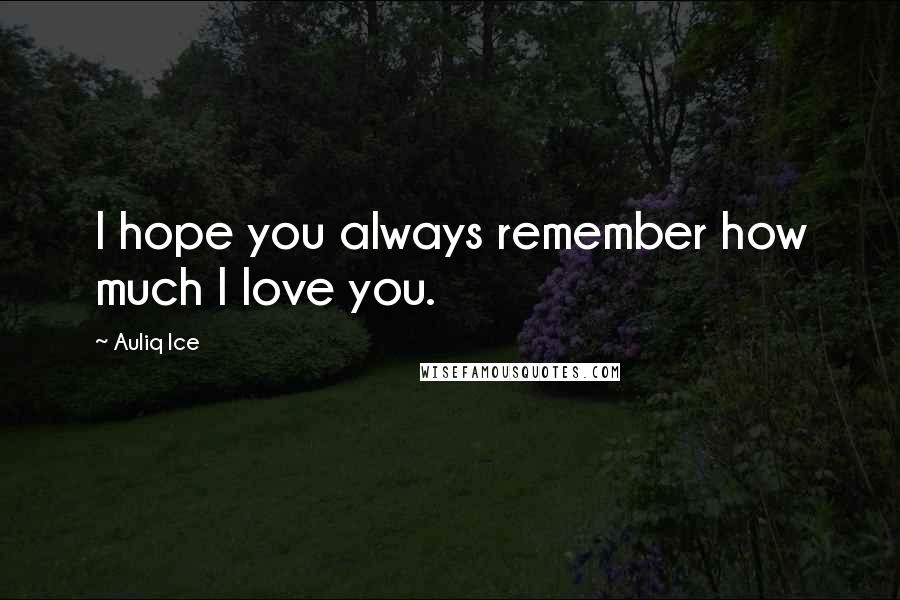 Auliq Ice Quotes: I hope you always remember how much I love you.