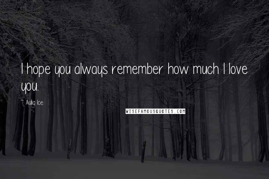 Auliq Ice Quotes: I hope you always remember how much I love you.