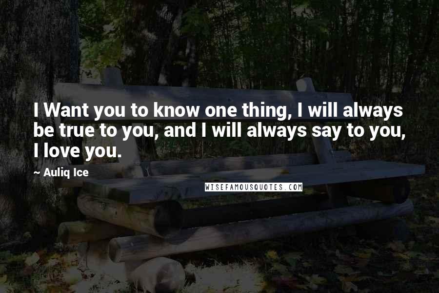 Auliq Ice Quotes: I Want you to know one thing, I will always be true to you, and I will always say to you, I love you.