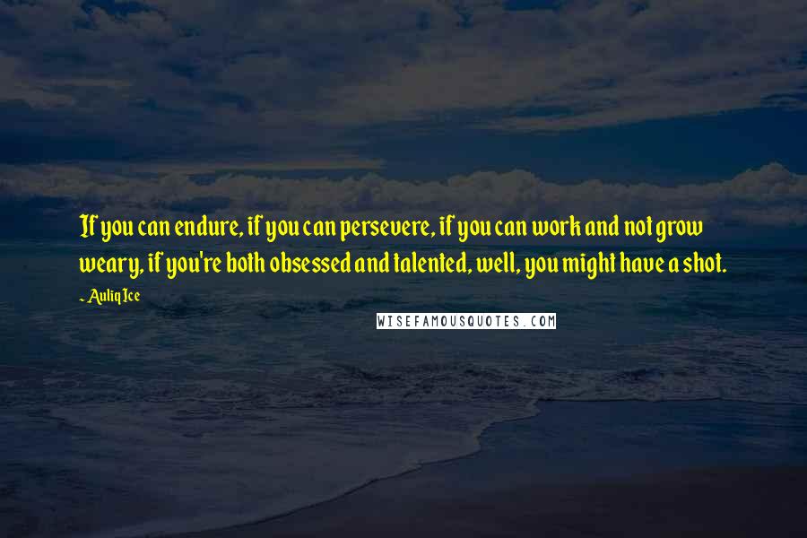 Auliq Ice Quotes: If you can endure, if you can persevere, if you can work and not grow weary, if you're both obsessed and talented, well, you might have a shot.
