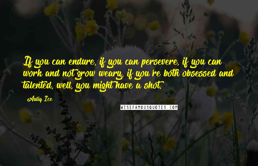 Auliq Ice Quotes: If you can endure, if you can persevere, if you can work and not grow weary, if you're both obsessed and talented, well, you might have a shot.