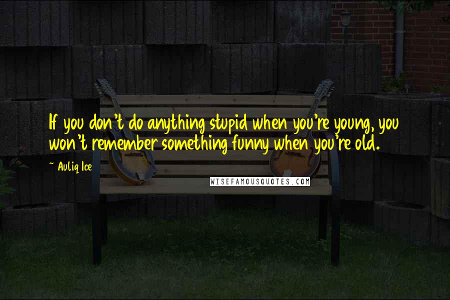 Auliq Ice Quotes: If you don't do anything stupid when you're young, you won't remember something funny when you're old.