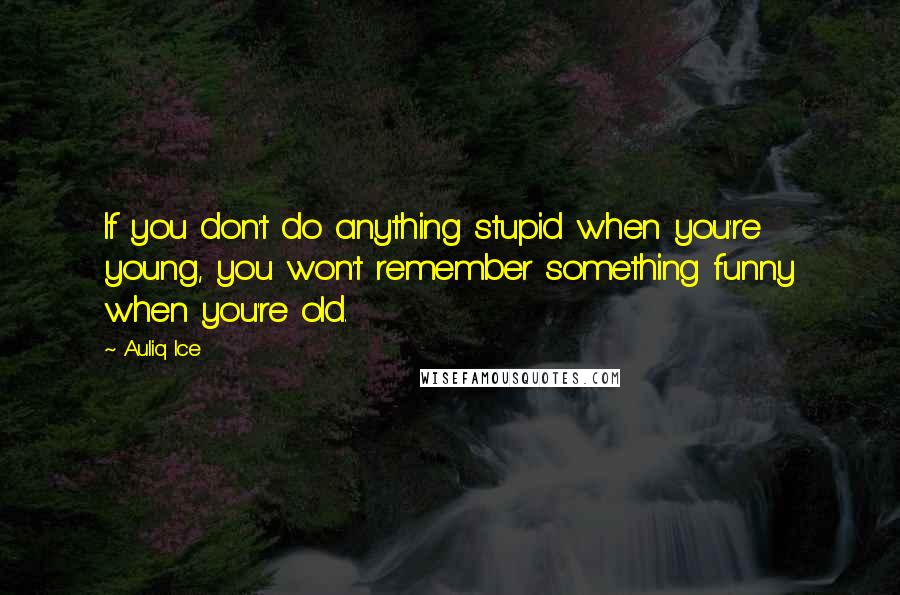 Auliq Ice Quotes: If you don't do anything stupid when you're young, you won't remember something funny when you're old.
