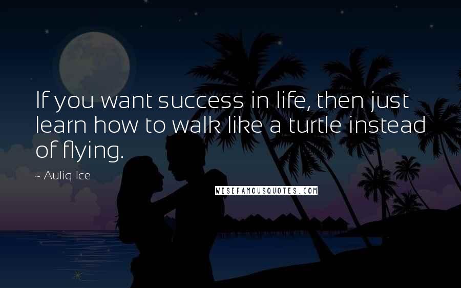 Auliq Ice Quotes: If you want success in life, then just learn how to walk like a turtle instead of flying.