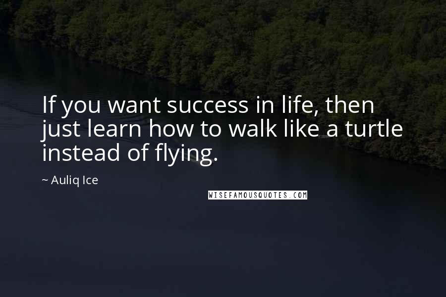 Auliq Ice Quotes: If you want success in life, then just learn how to walk like a turtle instead of flying.