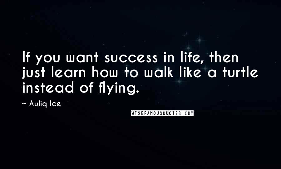 Auliq Ice Quotes: If you want success in life, then just learn how to walk like a turtle instead of flying.