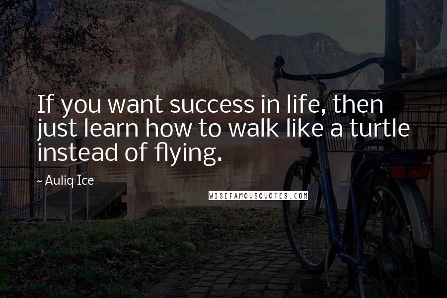 Auliq Ice Quotes: If you want success in life, then just learn how to walk like a turtle instead of flying.