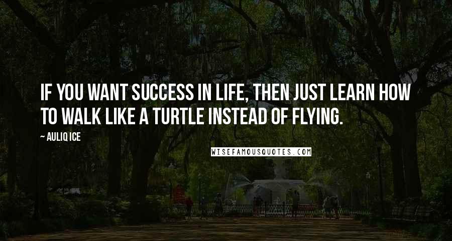 Auliq Ice Quotes: If you want success in life, then just learn how to walk like a turtle instead of flying.