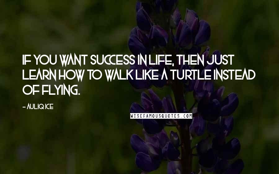 Auliq Ice Quotes: If you want success in life, then just learn how to walk like a turtle instead of flying.