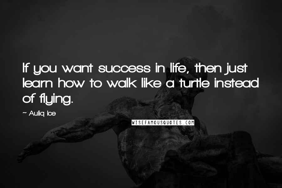 Auliq Ice Quotes: If you want success in life, then just learn how to walk like a turtle instead of flying.