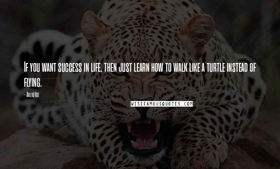 Auliq Ice Quotes: If you want success in life, then just learn how to walk like a turtle instead of flying.