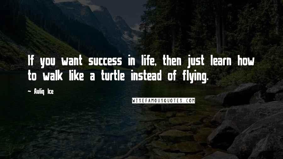 Auliq Ice Quotes: If you want success in life, then just learn how to walk like a turtle instead of flying.