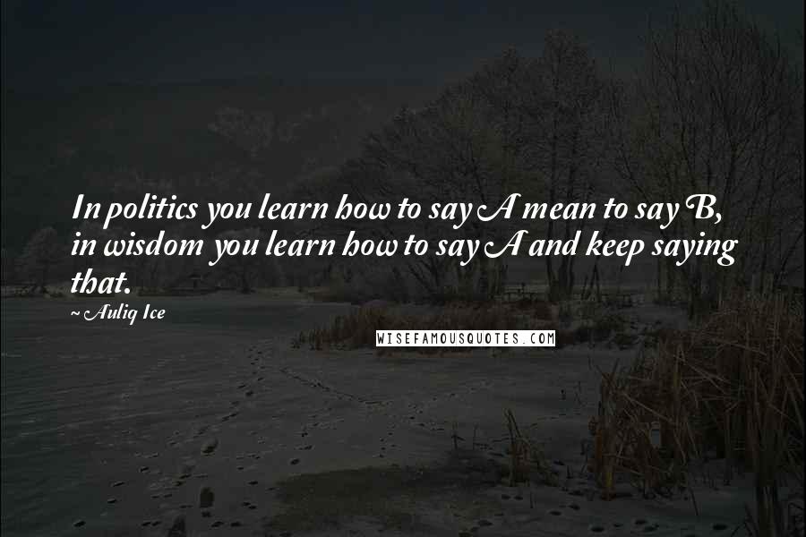 Auliq Ice Quotes: In politics you learn how to say A mean to say B, in wisdom you learn how to say A and keep saying that.