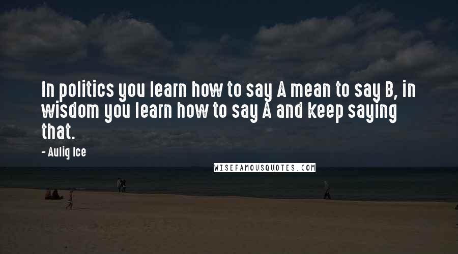 Auliq Ice Quotes: In politics you learn how to say A mean to say B, in wisdom you learn how to say A and keep saying that.