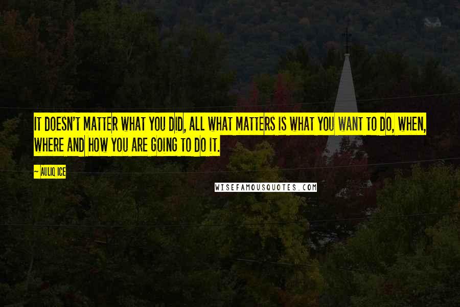 Auliq Ice Quotes: It doesn't matter what you did, all what matters is what you want to do, when, where and how you are going to do it.