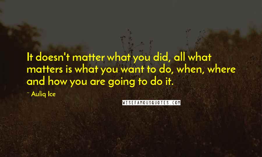 Auliq Ice Quotes: It doesn't matter what you did, all what matters is what you want to do, when, where and how you are going to do it.