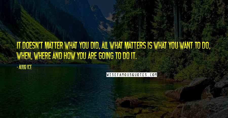 Auliq Ice Quotes: It doesn't matter what you did, all what matters is what you want to do, when, where and how you are going to do it.