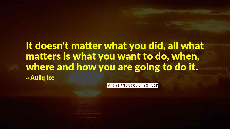 Auliq Ice Quotes: It doesn't matter what you did, all what matters is what you want to do, when, where and how you are going to do it.