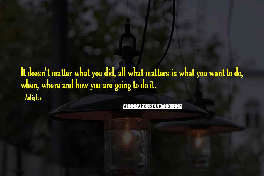 Auliq Ice Quotes: It doesn't matter what you did, all what matters is what you want to do, when, where and how you are going to do it.