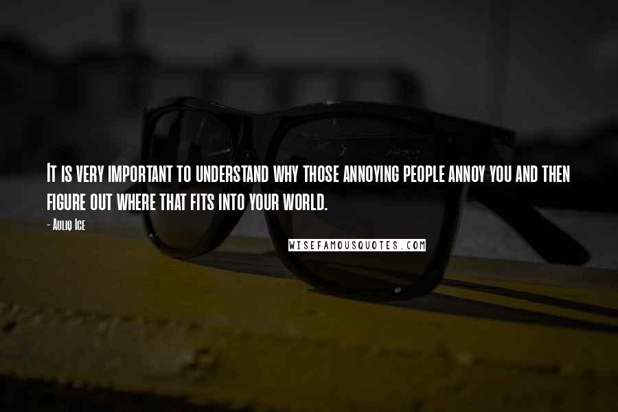 Auliq Ice Quotes: It is very important to understand why those annoying people annoy you and then figure out where that fits into your world.