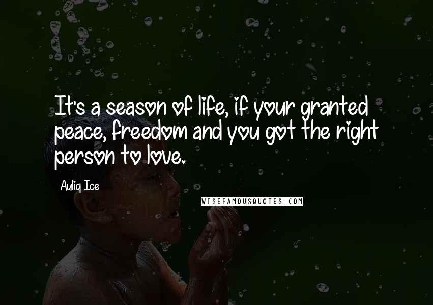 Auliq Ice Quotes: It's a season of life, if your granted peace, freedom and you got the right person to love.