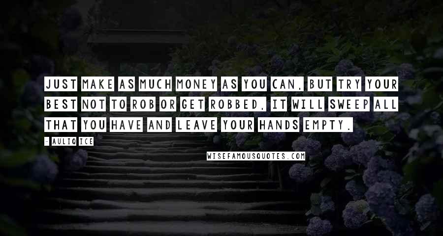 Auliq Ice Quotes: Just make as much money as you can, but try your best not to rob or get robbed, it will sweep all that you have and leave your hands empty.