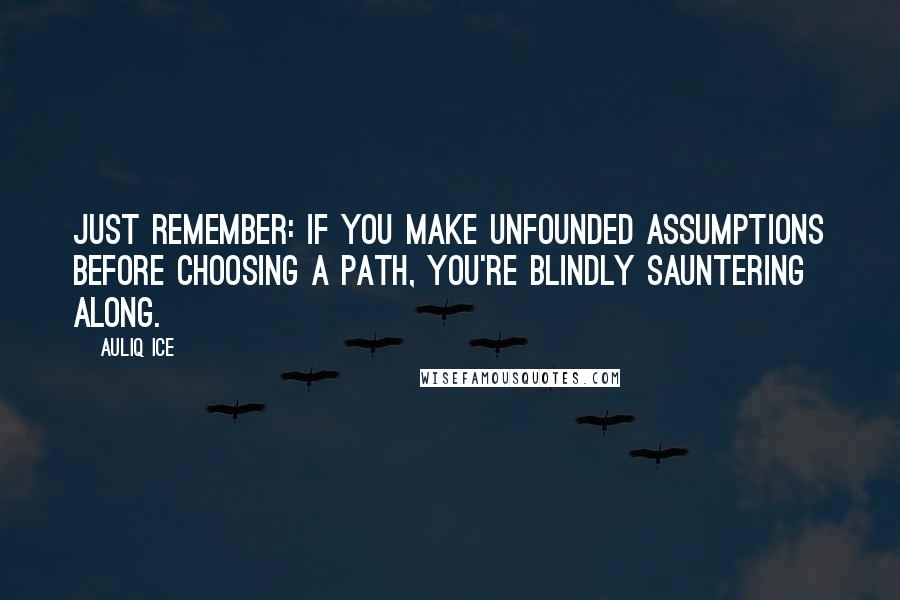 Auliq Ice Quotes: Just remember: If you make unfounded assumptions before choosing a path, you're blindly sauntering along.