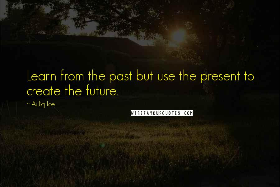 Auliq Ice Quotes: Learn from the past but use the present to create the future.