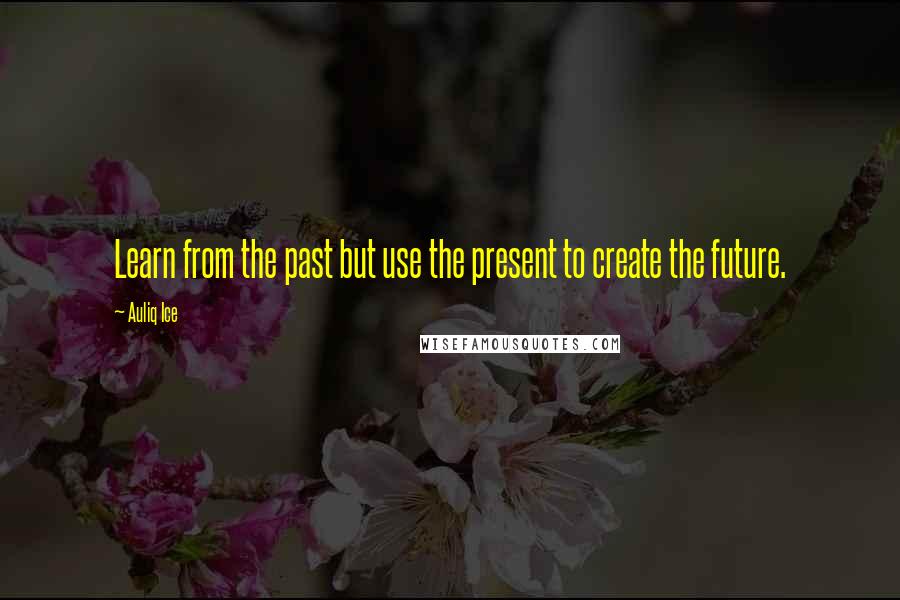 Auliq Ice Quotes: Learn from the past but use the present to create the future.