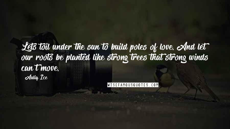 Auliq Ice Quotes: Lets toil under the sun to build poles of love. And let our roots be planted like strong trees that strong winds can't move.