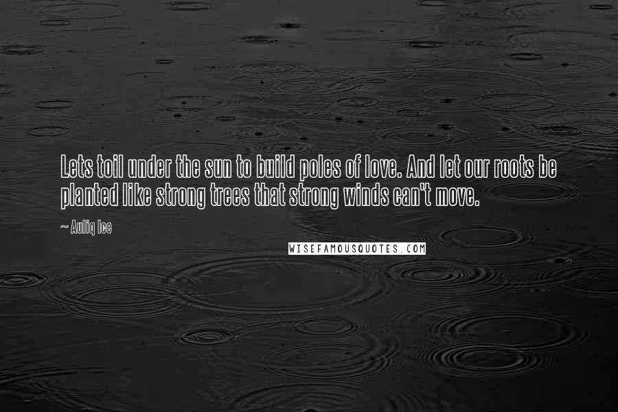 Auliq Ice Quotes: Lets toil under the sun to build poles of love. And let our roots be planted like strong trees that strong winds can't move.