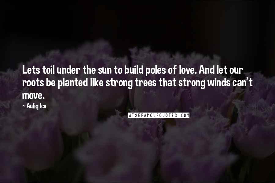 Auliq Ice Quotes: Lets toil under the sun to build poles of love. And let our roots be planted like strong trees that strong winds can't move.