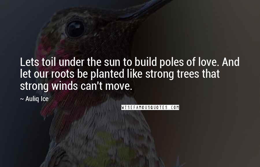 Auliq Ice Quotes: Lets toil under the sun to build poles of love. And let our roots be planted like strong trees that strong winds can't move.