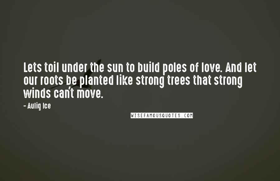 Auliq Ice Quotes: Lets toil under the sun to build poles of love. And let our roots be planted like strong trees that strong winds can't move.