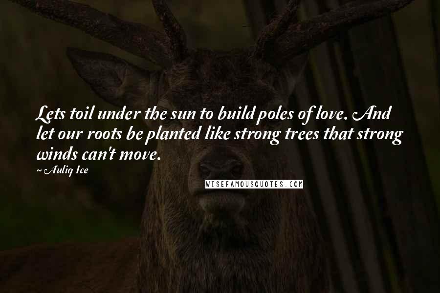 Auliq Ice Quotes: Lets toil under the sun to build poles of love. And let our roots be planted like strong trees that strong winds can't move.