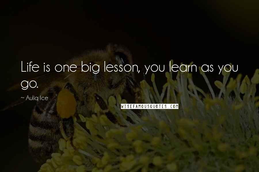 Auliq Ice Quotes: Life is one big lesson, you learn as you go.