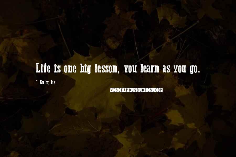 Auliq Ice Quotes: Life is one big lesson, you learn as you go.